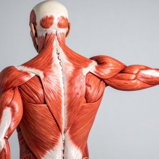 Langfristige Prävention